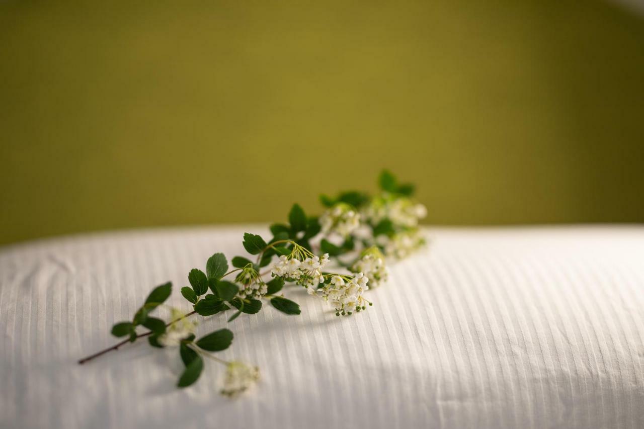 Alpedale Locanda 오바로 외부 사진